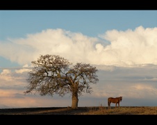 Enlarge photo 169