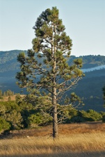 Enlarge photo 160
