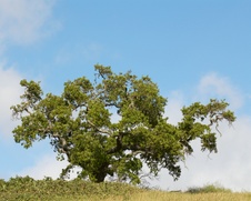Enlarge photo 203