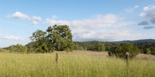 Enlarge photo 205