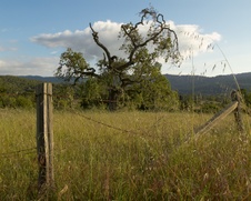 Enlarge photo 206