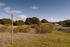 Enlarge photo 183