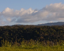 Enlarge photo 180