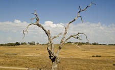 Enlarge photo 369