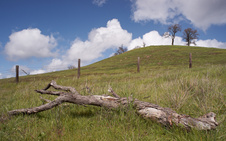 Enlarge photo 8