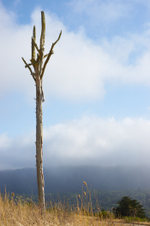 Sandhill Rd. / Crystal Springs