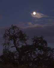 Enlarge photo 178