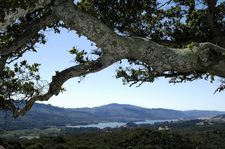Enlarge photo 346