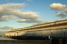 Enlarge photo 59
