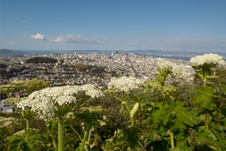 Enlarge photo 41