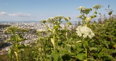 Enlarge photo 42