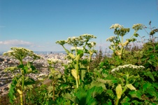 Enlarge photo 40