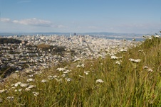 Enlarge photo 39