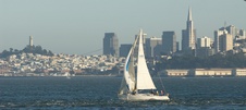 Enlarge photo 50