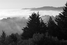 Enlarge photo 89