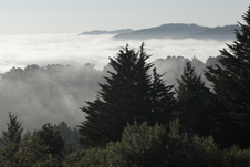 Enlarge photo 90