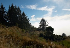Enlarge photo 87