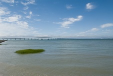 Enlarge photo 103