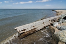 Enlarge photo 104