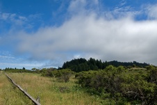 Enlarge photo 105