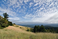 Enlarge photo 106