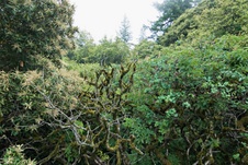 Enlarge photo 107