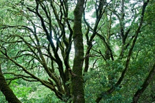 Enlarge photo 108