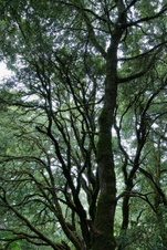 Enlarge photo 109