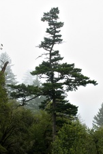 Enlarge photo 110