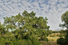 Enlarge photo 111