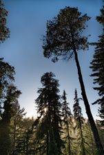 Enlarge photo 100