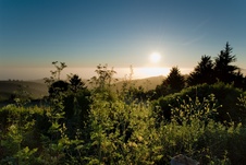 Enlarge photo 102