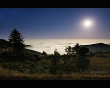 Enlarge photo 91
