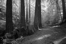 Enlarge photo 71