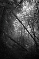 Enlarge photo 73