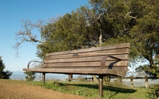 Enlarge photo 82