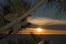 Enlarge photo 48