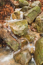 Enlarge photo 56