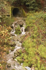 Enlarge photo 57