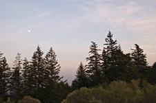 Enlarge photo 35