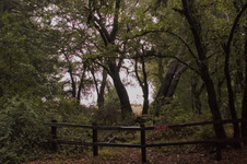 Enlarge photo 34