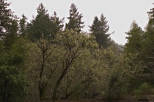 Enlarge photo 36
