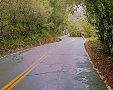Enlarge photo 37