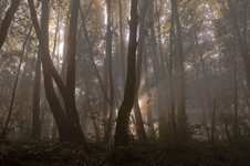 Enlarge photo 32