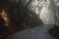 Enlarge photo 33