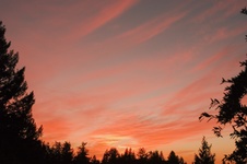 Enlarge photo 115