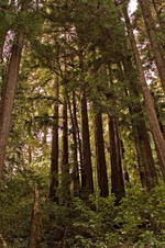 Enlarge photo 30