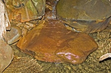 Enlarge photo 54