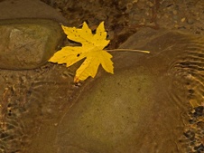 Enlarge photo 53