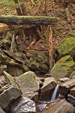 Enlarge photo 52